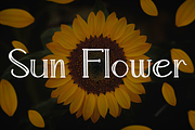 Flowers, a Handwritten Font by InermediaSTUDIO (Thumbnail 3 of 8)