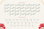 Wondshe Typeface, a Script Font by alit design (Thumbnail 15 of 20)