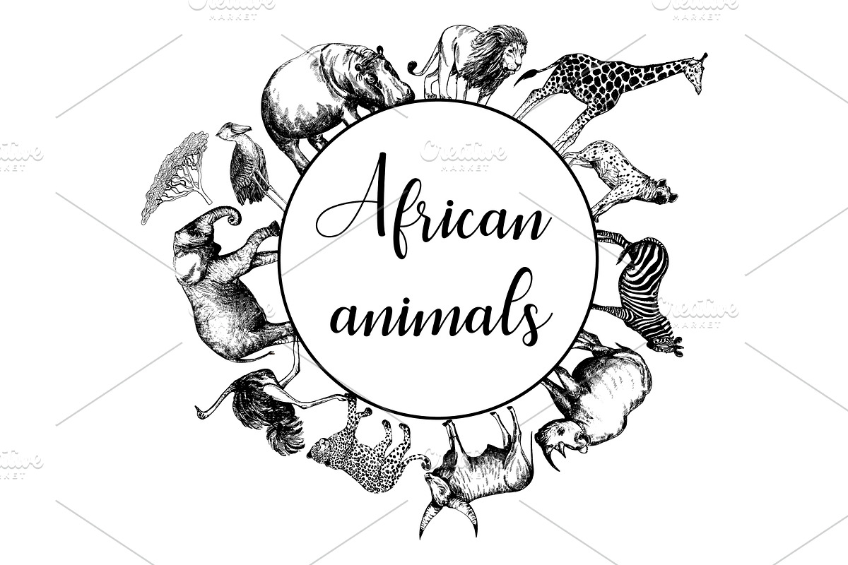 African Animals, an Animal Illustration by Ecaterina Sciuchina (Photo 4 of 7)