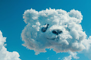 90 Clouds animals against a blue sky, an Animal Illustration by Handmadefont (Thumbnail 20 of 64)