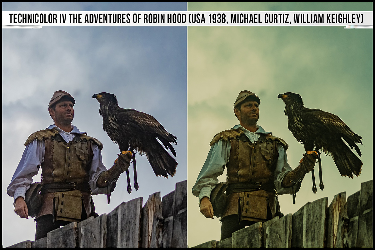 Technicolor Ver. 3 Profiles LUTs, a Plug-in Add-On by Raztrend (Photo 17 of 32)