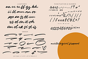 Ave Juliet | A Solid Brush Font, a Script Font by Colllab Studio (Thumbnail 4 of 17)