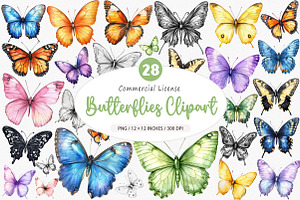 Watercolor Butterflies Clipart, an Illustration by SinaCreation