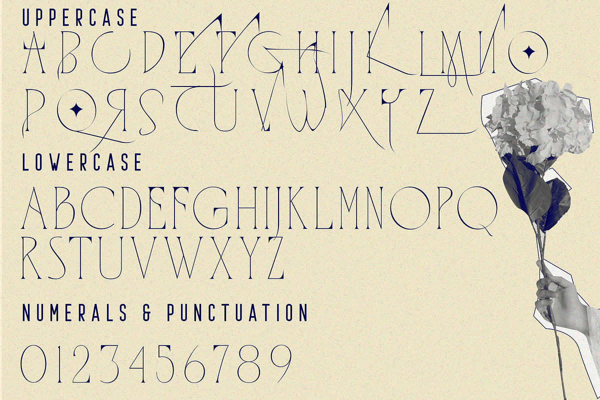 QUARANTINE REGULATIONS FONT, a Serif Font by 177Studio (Photo 7 of 7)