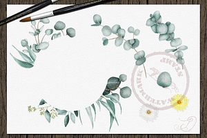 Eucalyptus 2 Watercolor Clip Art