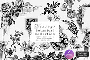 Procreate Botanical Collection, a Brush Add-On by AW Studios (Thumbnail 1 of 6)