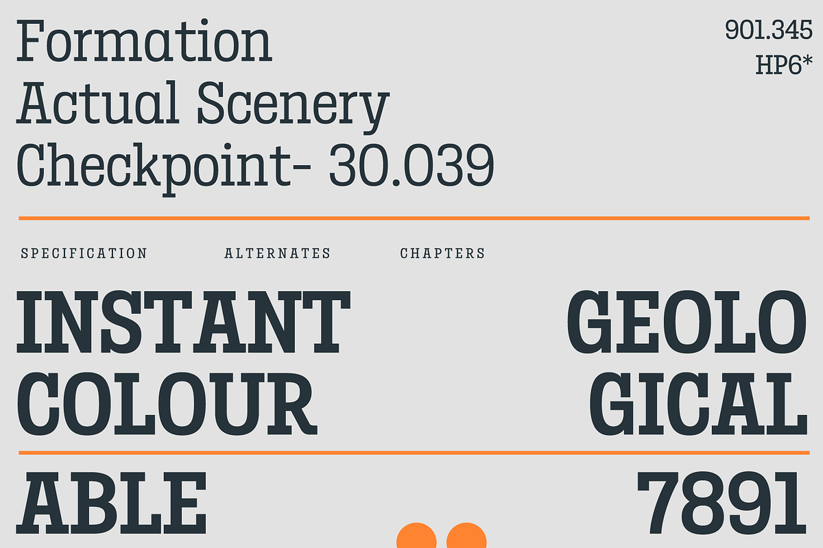 Birdwood; Condensed Slab Serif, a Slab Serif Font by Eko Bimantara (Photo 4 of 13)