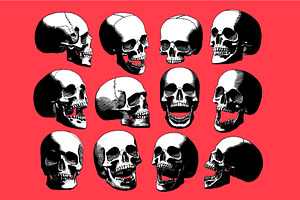 Vector Engraved Skulls Set