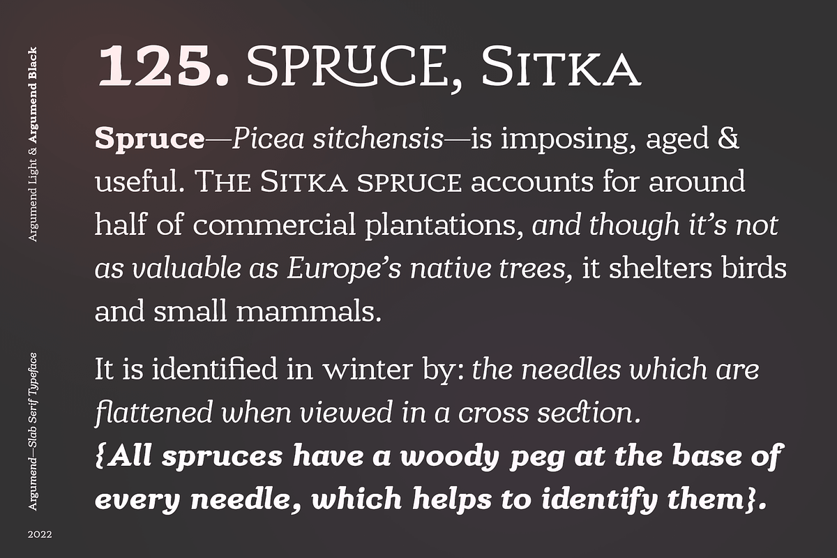 Argumend | A Humanistic Slab Serif, a Slab Serif Font by Ayca Atalay (Photo 5 of 8)