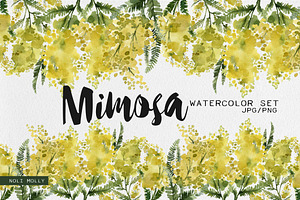 Mimosa. Yellow watercolor flowers.