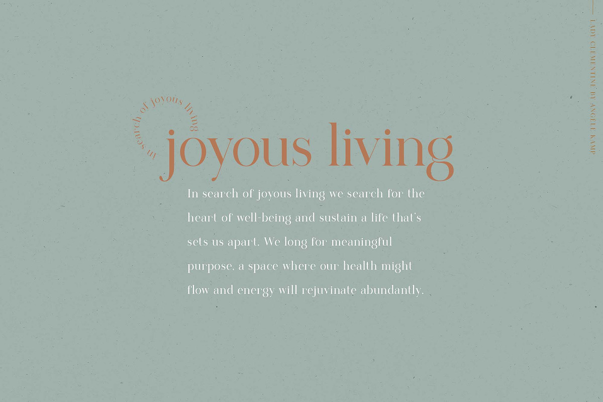 Lady Clementine wedding script fonts, a Serif Font by Angele Kamp (Photo 6 of 10)