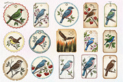 Bird Junk Journal Tags, Printable, an Illustration by Dream Creation (Thumbnail 4 of 5)