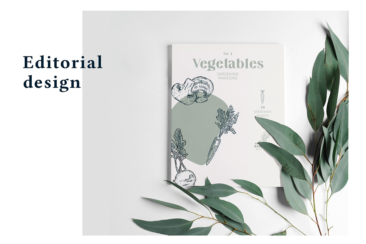 The Vegetables Collection, a Food Illustration by dicreate (Photo 11 of 14)