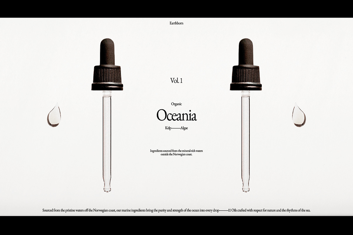 Brand Presentation Deck Template, a Presentation Template by Studio Viita (Photo 6 of 10)