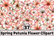 Spring Petunia Flower Clipart, an Illustration by Design Market (Thumbnail 1 of 4)