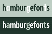 Fellbaum Grotesk Full, a Sans Serif Font by Vintage Type Company (Thumbnail 11 of 16)