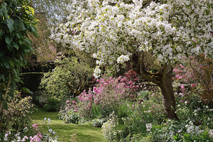 Spring garden path winding through beds of blossoming pink and w, a Photo by Studio ANNA
