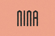 Nina I A Sans Serif Font, a Sans Serif Font by Taylor Penton (Thumbnail 1 of 3)