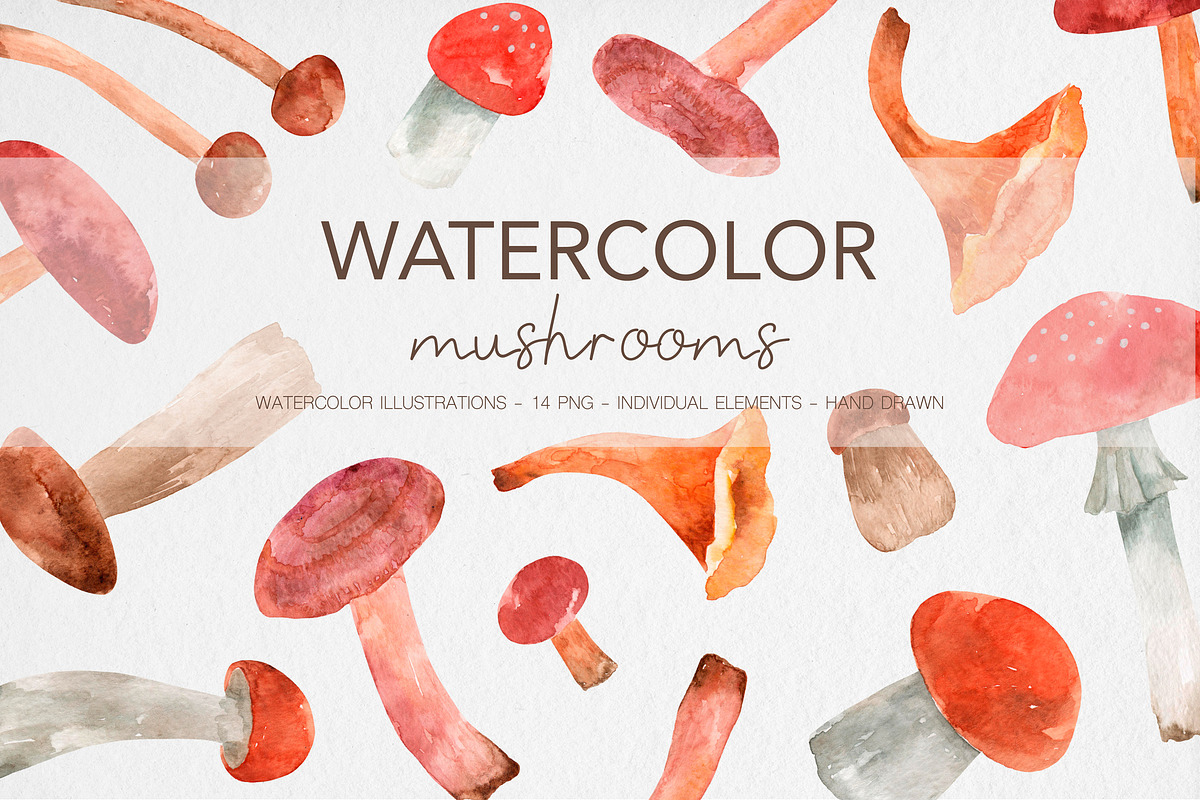 Watercolor Mushrooms Clipart, an Illustration by MilanaDesignShop (Photo 1 of 4)