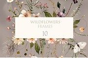 Wildflowers Watercolor Collection, a Decorative Illustration by Les Frolova (Thumbnail 3 of 12)