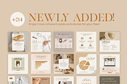 Instagram Coach Engagement CANVA PS, a Social Media Template by Eviory (Thumbnail 2 of 48)