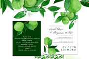 Juicy Watercolor Lime Set, an Illustration by One and Only Paper (Thumbnail 3 of 6)