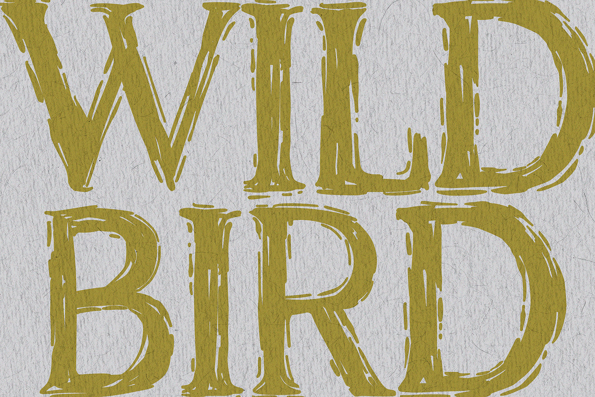 Wild Bird Hand Crafted Font, a Handwritten Font by AnMark (Photo 11 of 12)