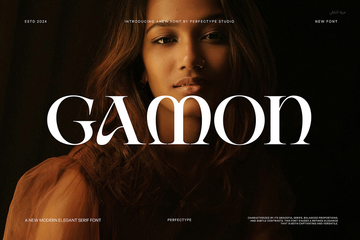 Gamon Unique Serif Font, a Serif Font by Perfectype (Photo 1 of 8)