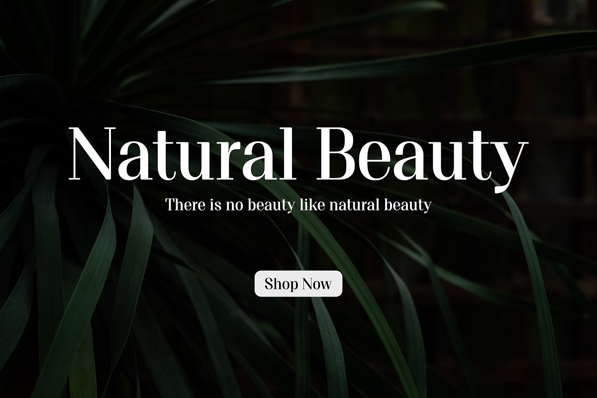 Proto Serif Semi-Bold, a Serif Font by Bukva™ Type Foundry (Photo 10 of 13)