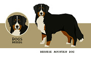 Dog breeds Bernese Mountain Dog, an Animal Illustration by Nenilkime (Thumbnail 1 of 3)