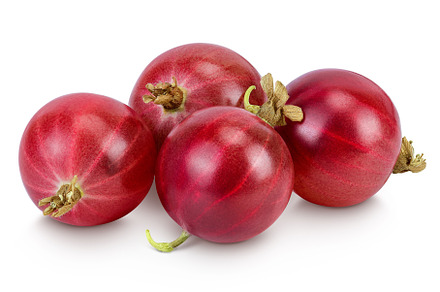 Red gooseberry isolated on white