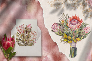 Protea Flowers