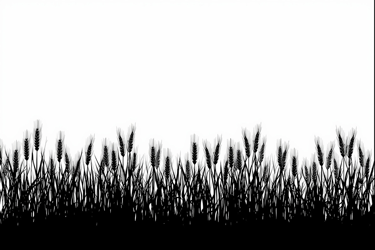 Wheat Field Border Bundle, an Illustration by Designs_River (Photo 9 of 9)