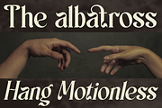 Scales - Aesthetic Ligatures Serif, a Serif Font by Say Studio (Thumbnail 3 of 13)