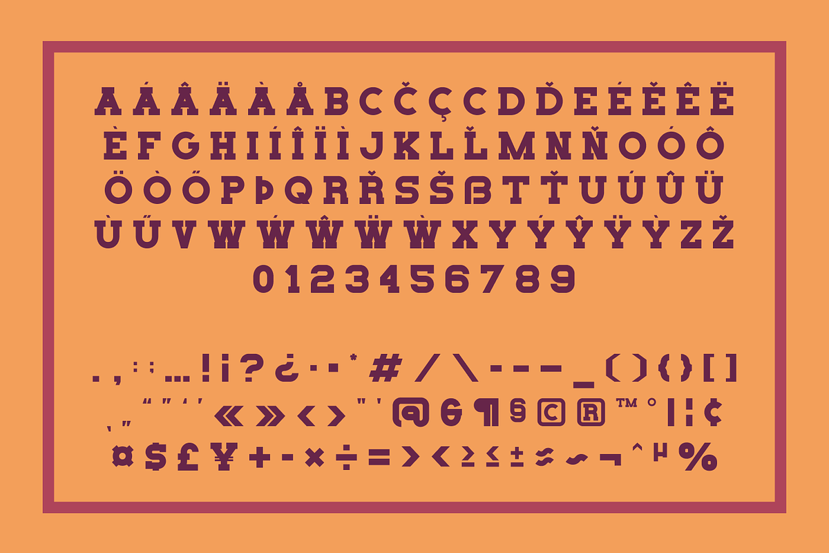 Sport Scholars - Athletic Font, a Serif Font by Helotype (Photo 6 of 8)