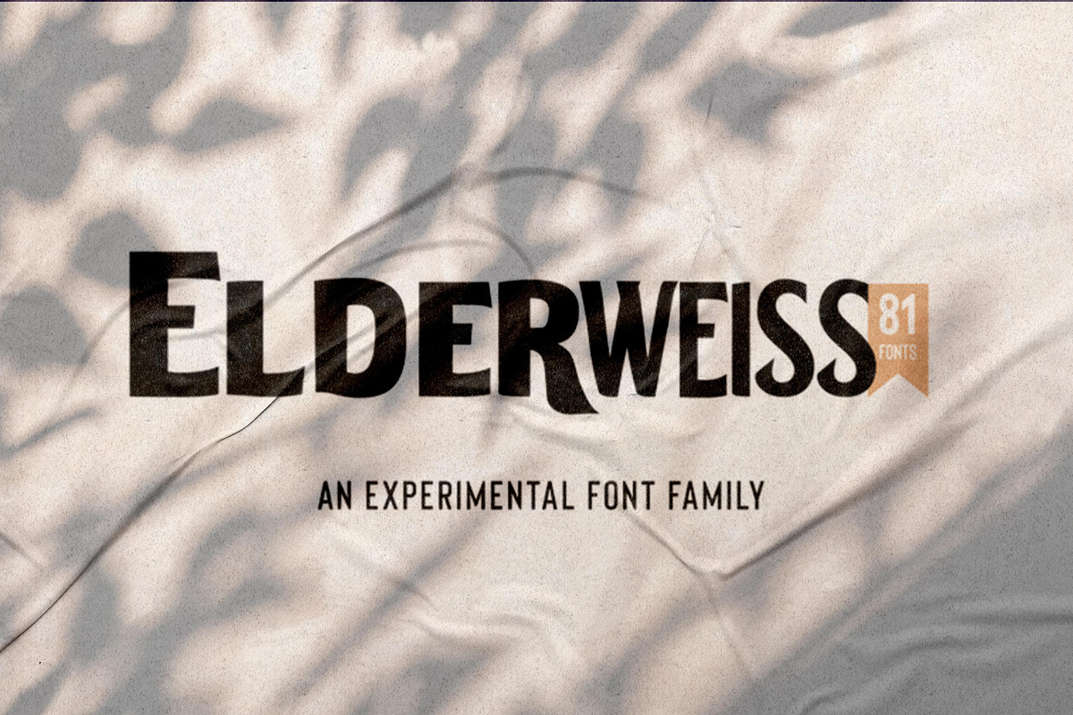 Elderweiss | Experimental Family, a Sans Serif Font by Noto Rupa (Photo 6 of 6)