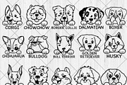 35 Dog 10 Cat Breed Bundle, a Templates & Theme by QualityGraphics (Thumbnail 1 of 4)