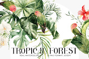 Tropical forest- watercolor greenery, a Decorative Illustration by Pamyatka Shop (Thumbnail 1 of 13)