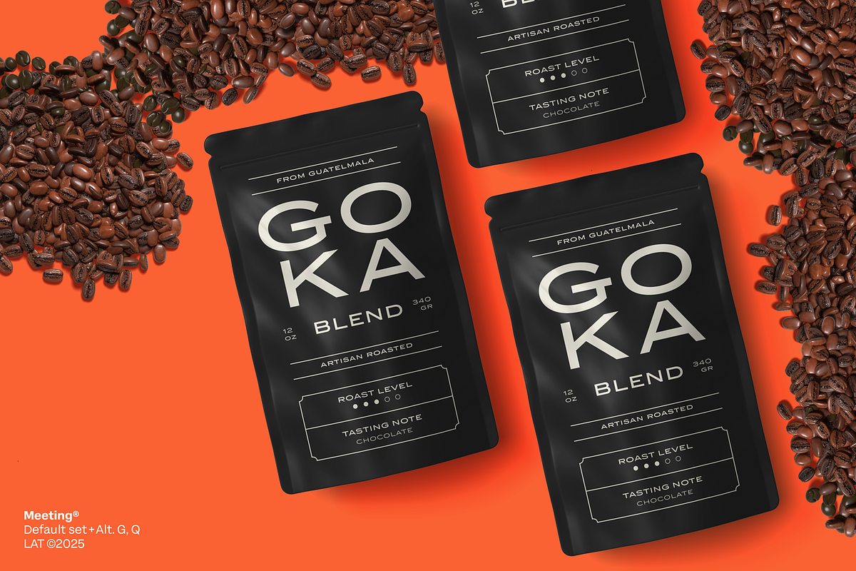 Meeting, a Sans Serif Font by Los Andes Type (Photo 8 of 11)