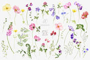 Wildflower watercolor floral clipart, a Decorative Illustration by ReachDreams (Thumbnail 8 of 10)