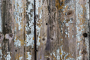 Barn & Farmhouse Wood Textures, a Background Photo by VetalStock (Thumbnail 6 of 10)