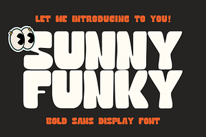 Sunny Funky Bold Display Font