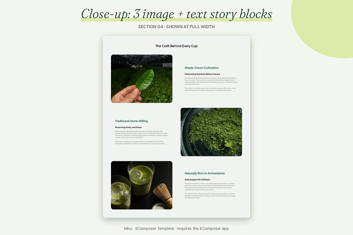 Mivu - Shopify EComposer Template, a Shopify Template by Boost Convert (Photo 11 of 11)