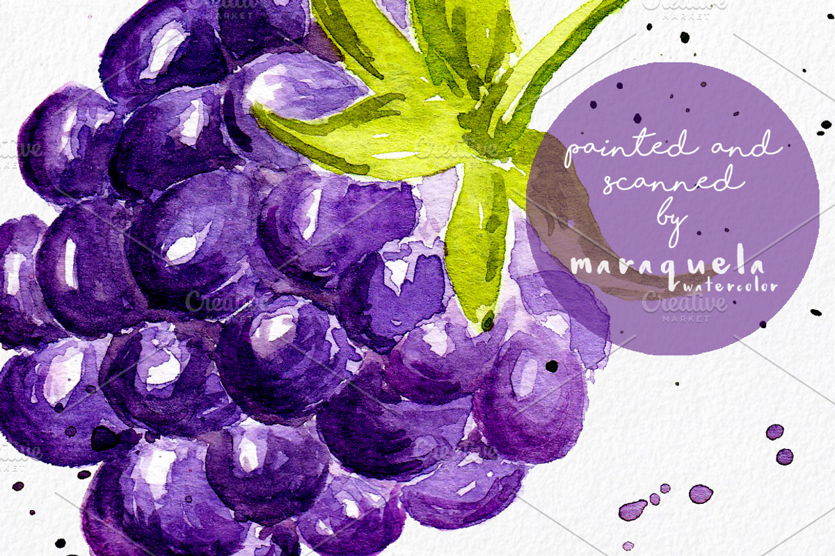 Watercolor Fruits ClipArt Pack, an Illustration by MaraquelaStudio (Photo 5 of 6)
