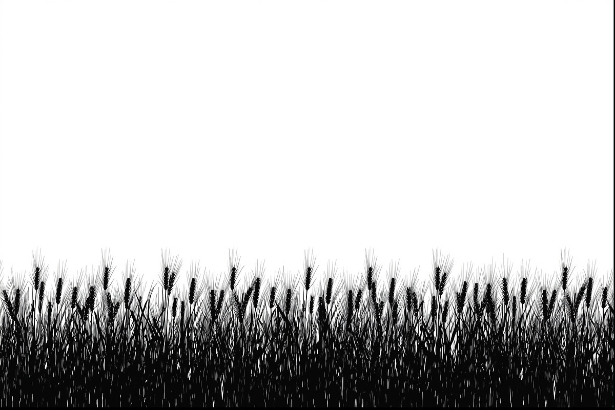 Harvest Wheat Border Designs, an Illustration by Creativeshirt (Photo 7 of 9)