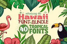 Hawaii Font Bundle - 71 Fonts!