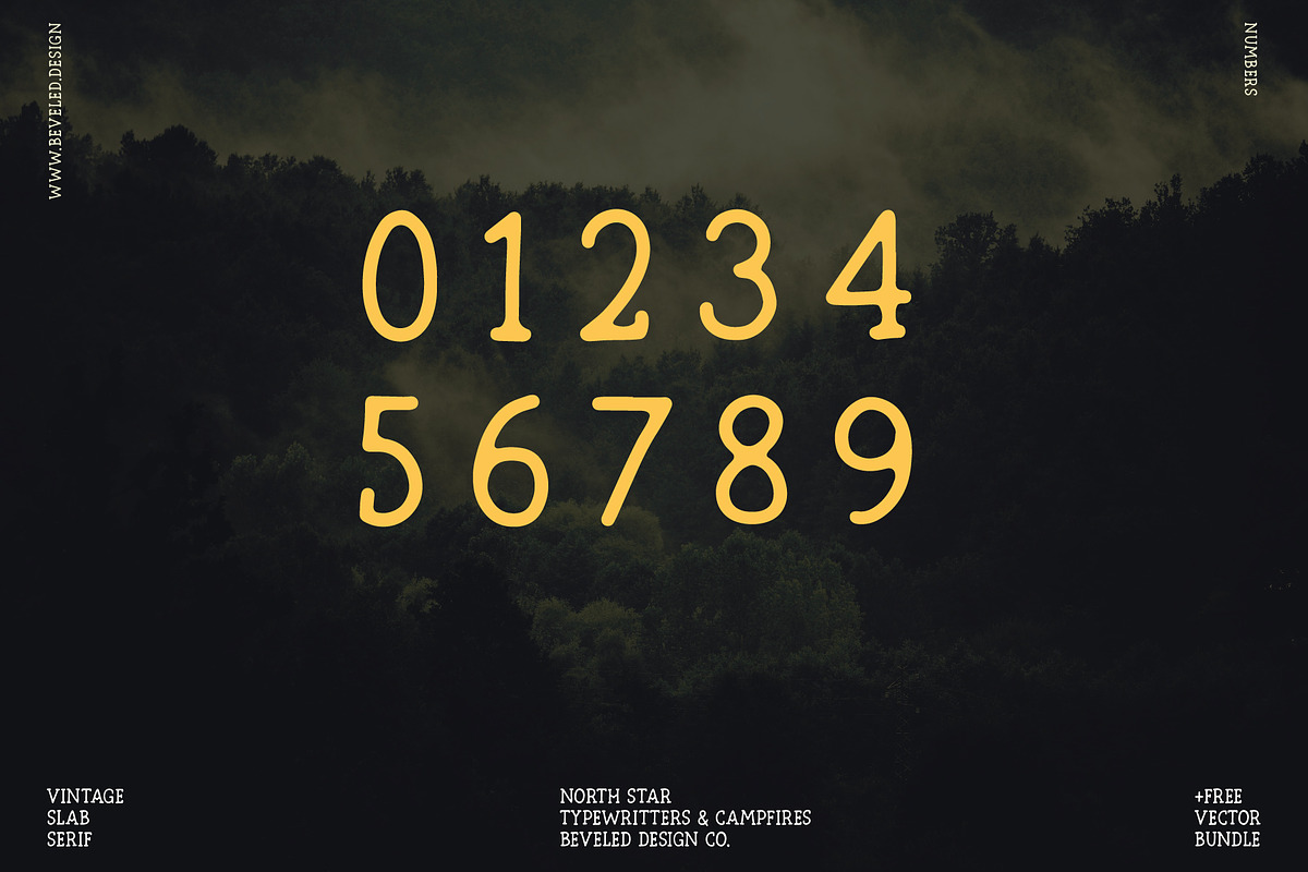North Star | Vintage Slab Serif, a Slab Serif Font by Beveled Design Co. (Photo 8 of 10)