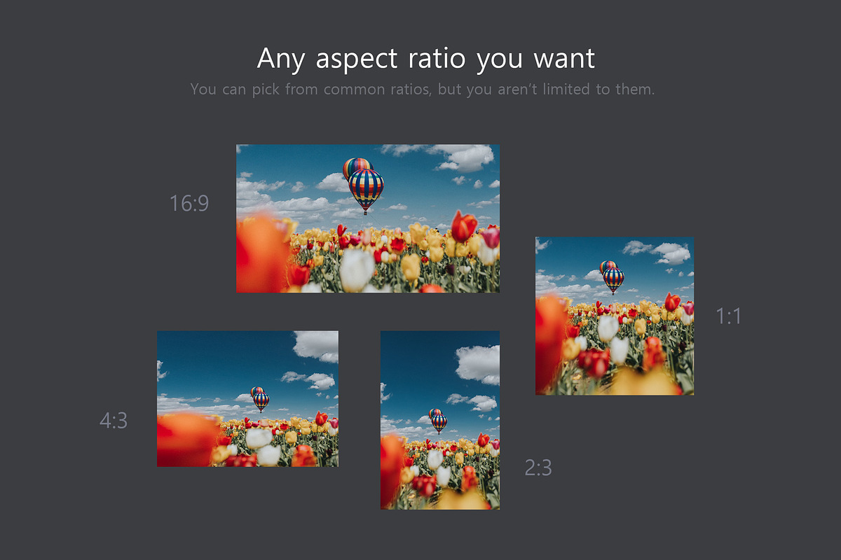Ratio Switch - Format Change Kit, a Plug-in Add-On by h3design (Photo 9 of 11)