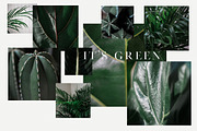 15 Green plant Insta photos, a Product Mockup by Nellaino (Thumbnail 5 of 7)