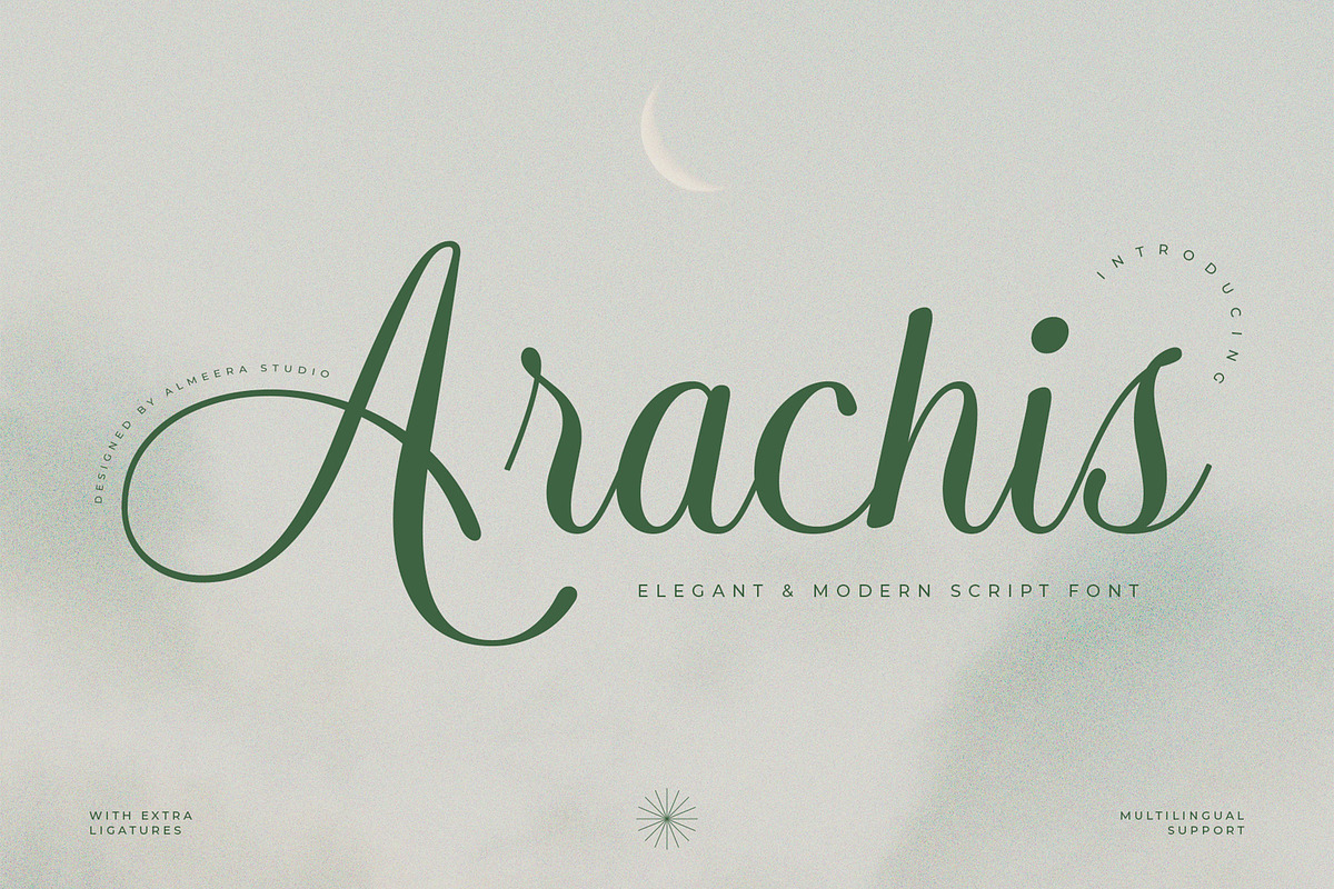 Arachis – Elegant & Modern Script, a Script Font by Almeera Std (Photo 1 of 10)